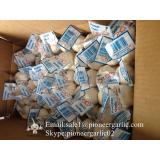 Pure White Garlic Packed in Carton Box 5.0-5.5cm